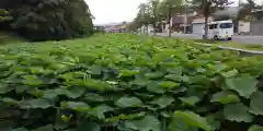 上杉神社の周辺