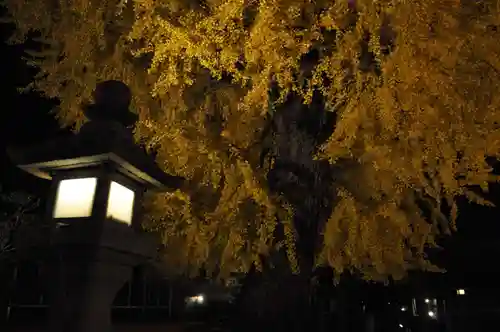 丹生酒殿神社のその他建物