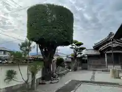 東禅寺(三重県)