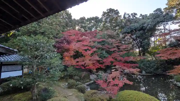 隨心院(随心院)(京都府)