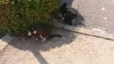 妙雲寺(岐阜県)