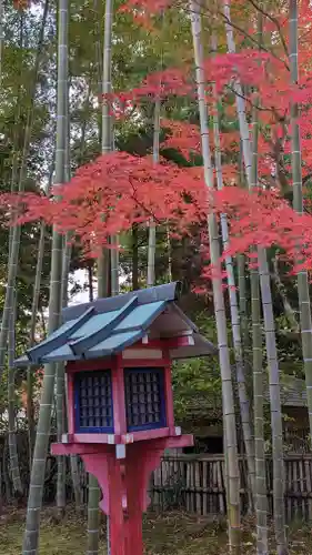 常照寺(京都府)