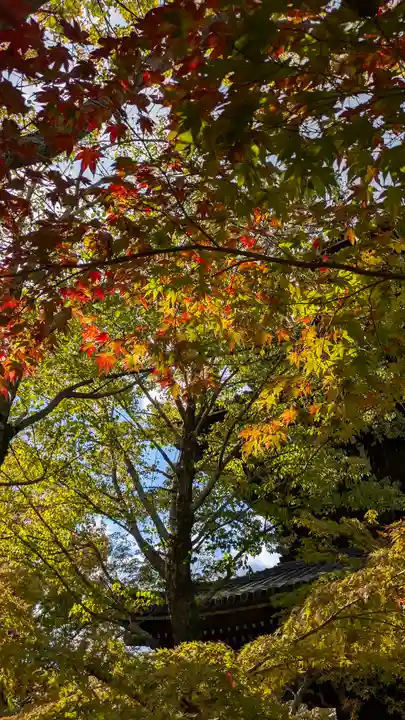 真正極楽寺(真如堂)(京都府)