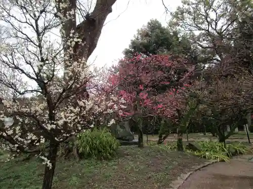 北野天満宮(京都府)