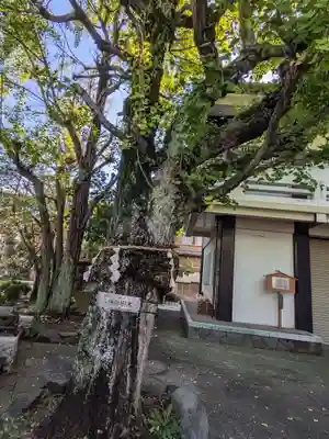 河原町稲荷神社(東京都)
