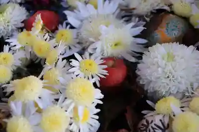 豊景神社の手水舎