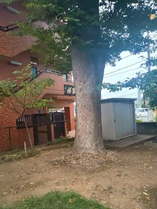 共光稲荷大明神(東京都)