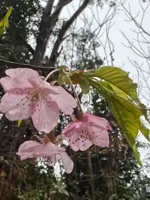 洲崎神社(千葉県)