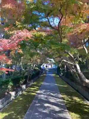天嶽院(神奈川県)
