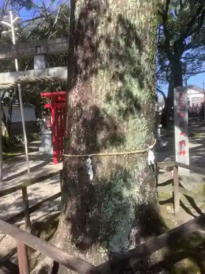 八王子神社(愛知県)