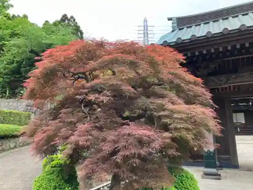 貴雲寺(神奈川県)