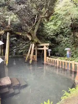 鹿島神宮(茨城県)