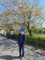 鶴岡八幡宮(神奈川県)