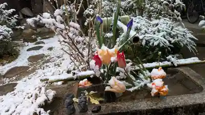 宝蔵寺(京都府)