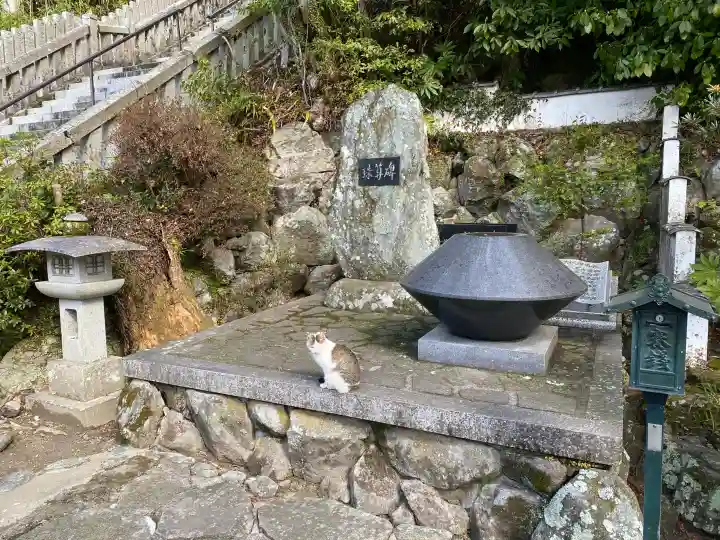 千光寺の{uncategorized: "未分類", other: "その他", undefined: "問題あり", building: "その他建物", grave: "お墓", sacred_gate: "鳥居", guardian: "狛犬", statue: "像", buddha: "仏像", history: "歴史", nature: "自然", garden: "庭園", animal: "動物", pagoda: "塔", temizu: "手水舎", mountain_gate: "山門・神門", sanctuary: "本殿・本堂", subordinate: "末社・摂社", art: "芸術", scenery: "景色", jizo: "地蔵", ema: "絵馬", goshuin: "御朱印", omikuji: "おみくじ", items: "授与品その他", amulet: "お守り", goshuincho: "御朱印帳", eats: "食事", festival: "お祭り", votive_dance: "神楽", shichigosan: "七五三参", wedding: "結婚式", experience: "体験その他", initially: "初詣", around: "周辺", anti_infection: "感染症対策"}