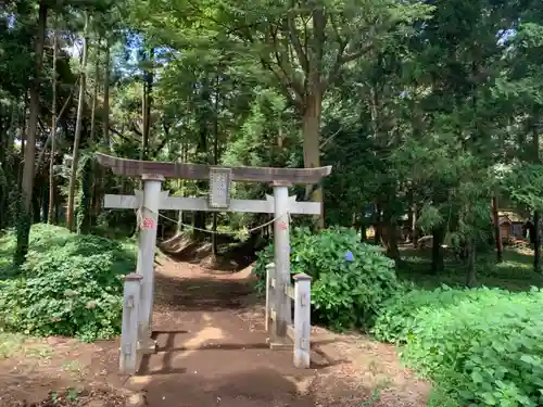 大宮神社の鳥居