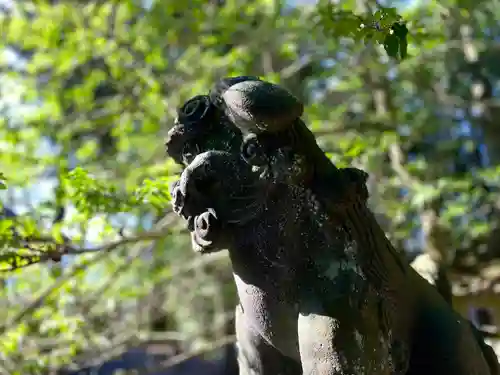 矢彦神社の狛犬