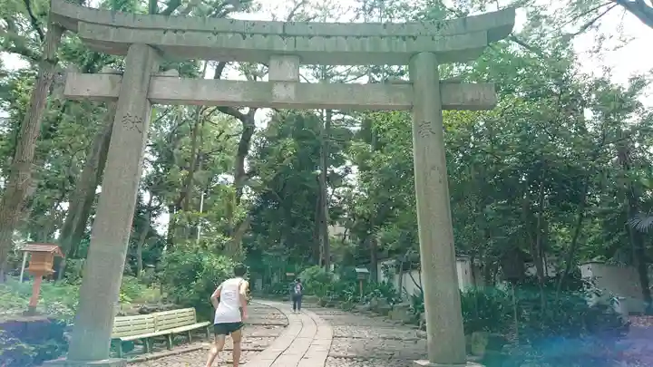 代々木八幡宮の鳥居
