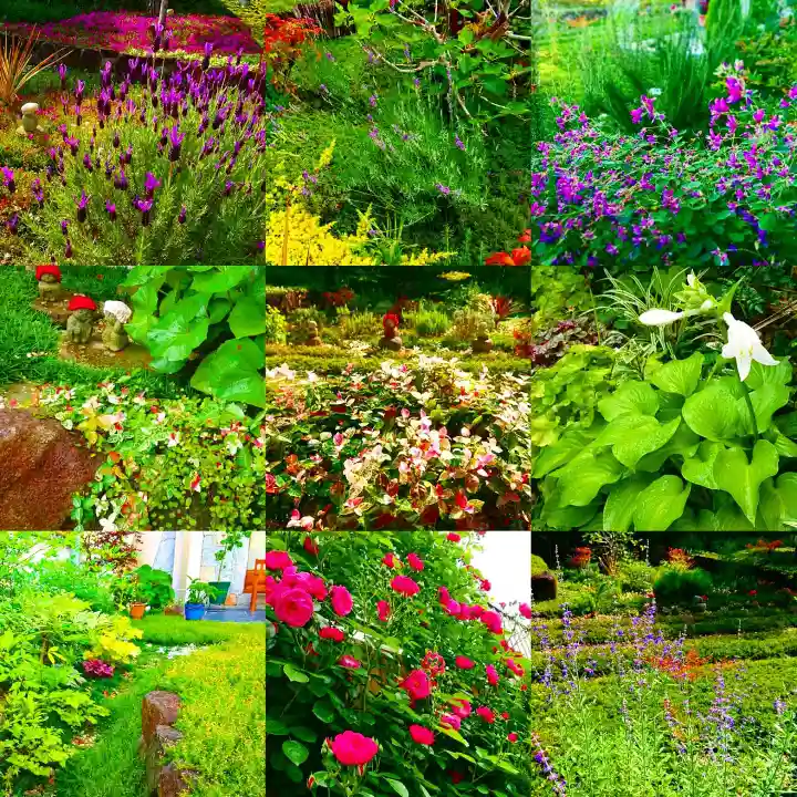 寿量山 速成寺の自然