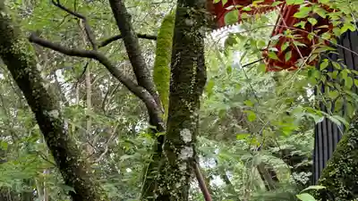 土佐神社(高知県)