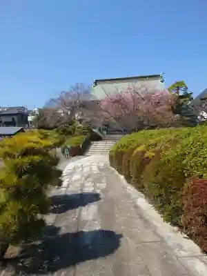高長寺(神奈川県)
