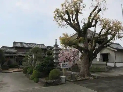 井戸寺(徳島県)