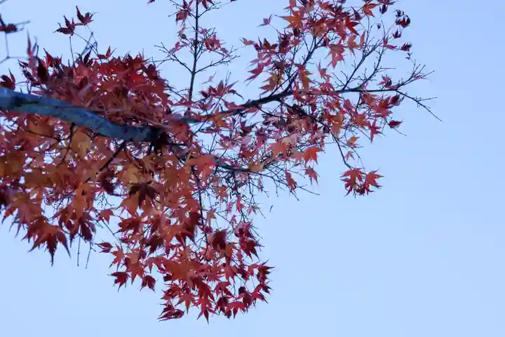 諏訪大社上社前宮(長野県)