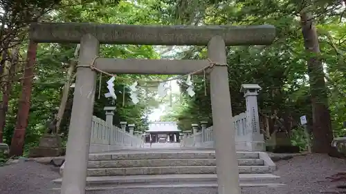 千歳神社の鳥居