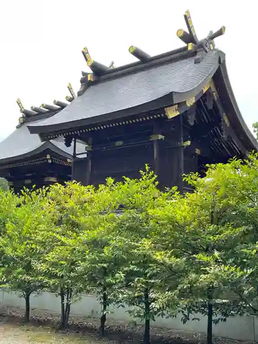 鷲宮神社の本殿