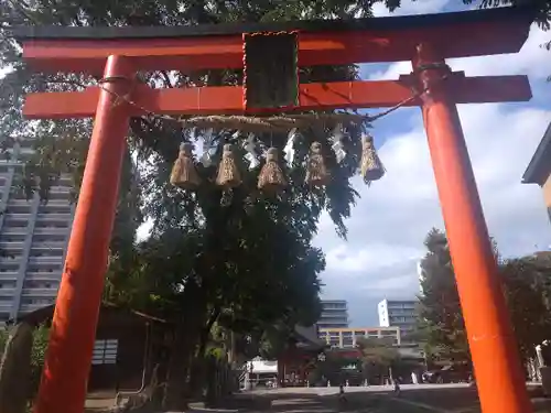 榴岡天満宮の鳥居