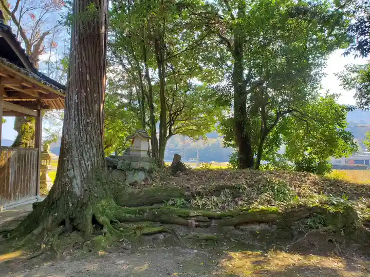 木津住吉神社の自然