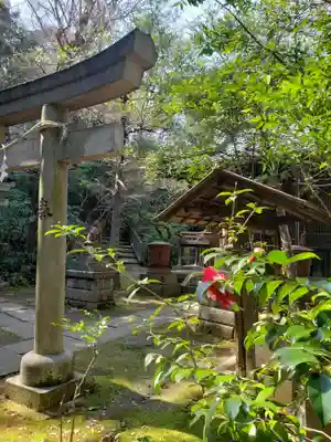 赤坂氷川神社(東京都)