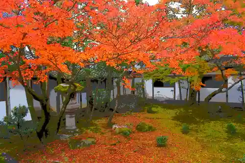 仁和寺の庭園