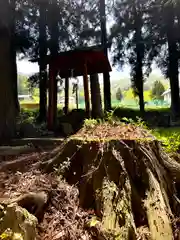 山家神社の末社