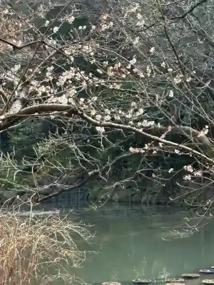 熱田神宮の{uncategorized: "未分類", other: "その他", undefined: "問題あり", building: "その他建物", grave: "お墓", sacred_gate: "鳥居", guardian: "狛犬", statue: "像", buddha: "仏像", history: "歴史", nature: "自然", garden: "庭園", animal: "動物", pagoda: "塔", temizu: "手水舎", mountain_gate: "山門・神門", sanctuary: "本殿・本堂", subordinate: "末社・摂社", art: "芸術", scenery: "景色", jizo: "地蔵", ema: "絵馬", goshuin: "御朱印", omikuji: "おみくじ", items: "授与品その他", amulet: "お守り", goshuincho: "御朱印帳", eats: "食事", festival: "お祭り", votive_dance: "神楽", shichigosan: "七五三参", wedding: "結婚式", experience: "体験その他", initially: "初詣", around: "周辺", anti_infection: "感染症対策"}