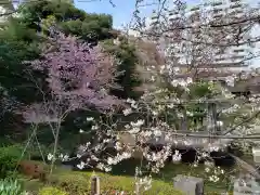 東郷神社の庭園