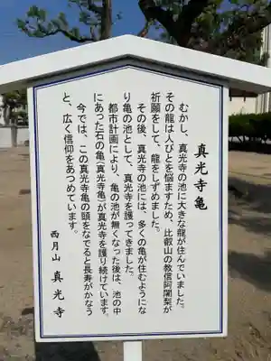 真光寺(兵庫県)