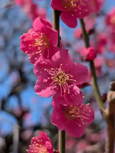 金藏院(神奈川県)