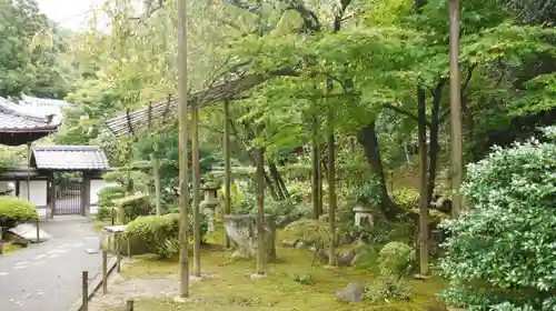 一條殿 新善光寺の庭園