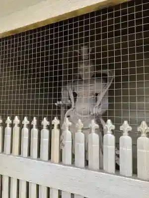 総願寺(埼玉県)