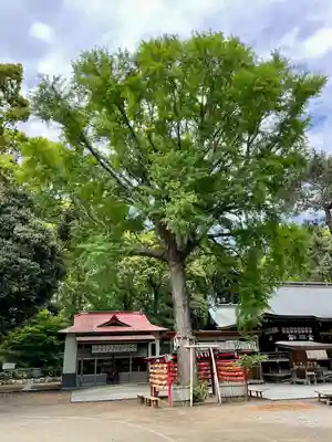 平塚八幡宮(神奈川県)