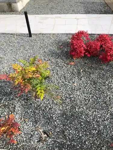 總社 和田八幡宮(福井県)