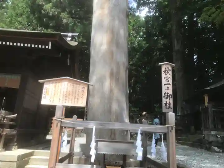 諏訪大社下社秋宮(長野県)