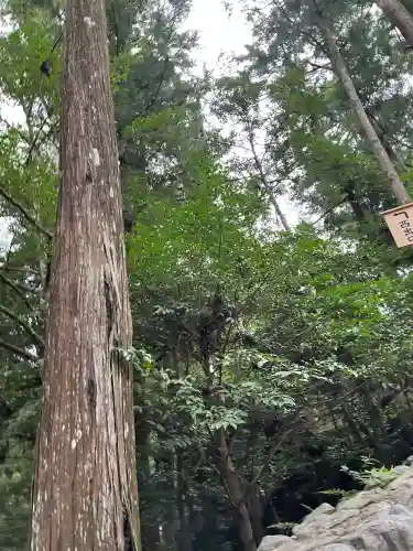 伊勢神宮外宮（豊受大神宮）(三重県)
