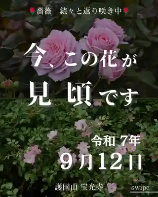 宝光寺(北海道)