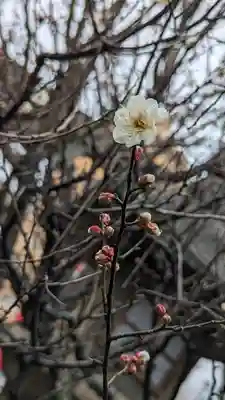 水火天満宮(京都府)