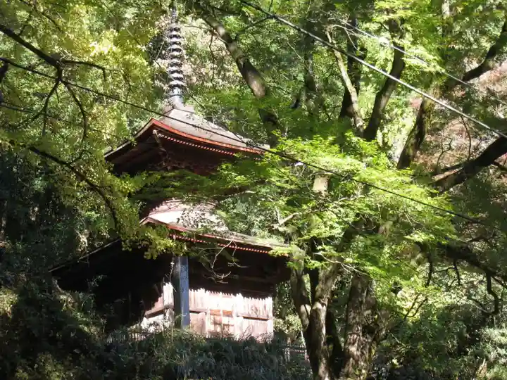 武蔵二宮 金鑚神社(埼玉県)