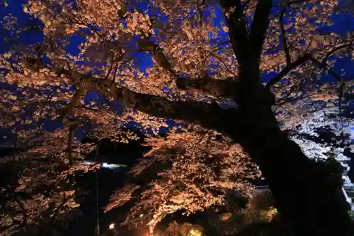 長屋神社の庭園