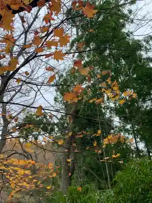 得大勢至(福島県)