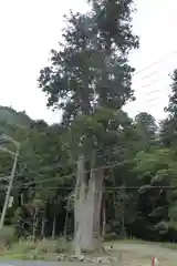 室生龍穴神社の自然